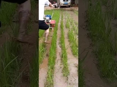 Çok işlevli ot ayıklayıcı